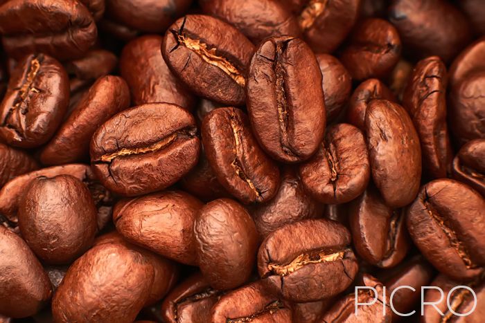 Coffee Beans - Coffee Beans